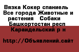 Вязка Кокер спаниель - Все города Животные и растения » Собаки   . Башкортостан респ.,Караидельский р-н